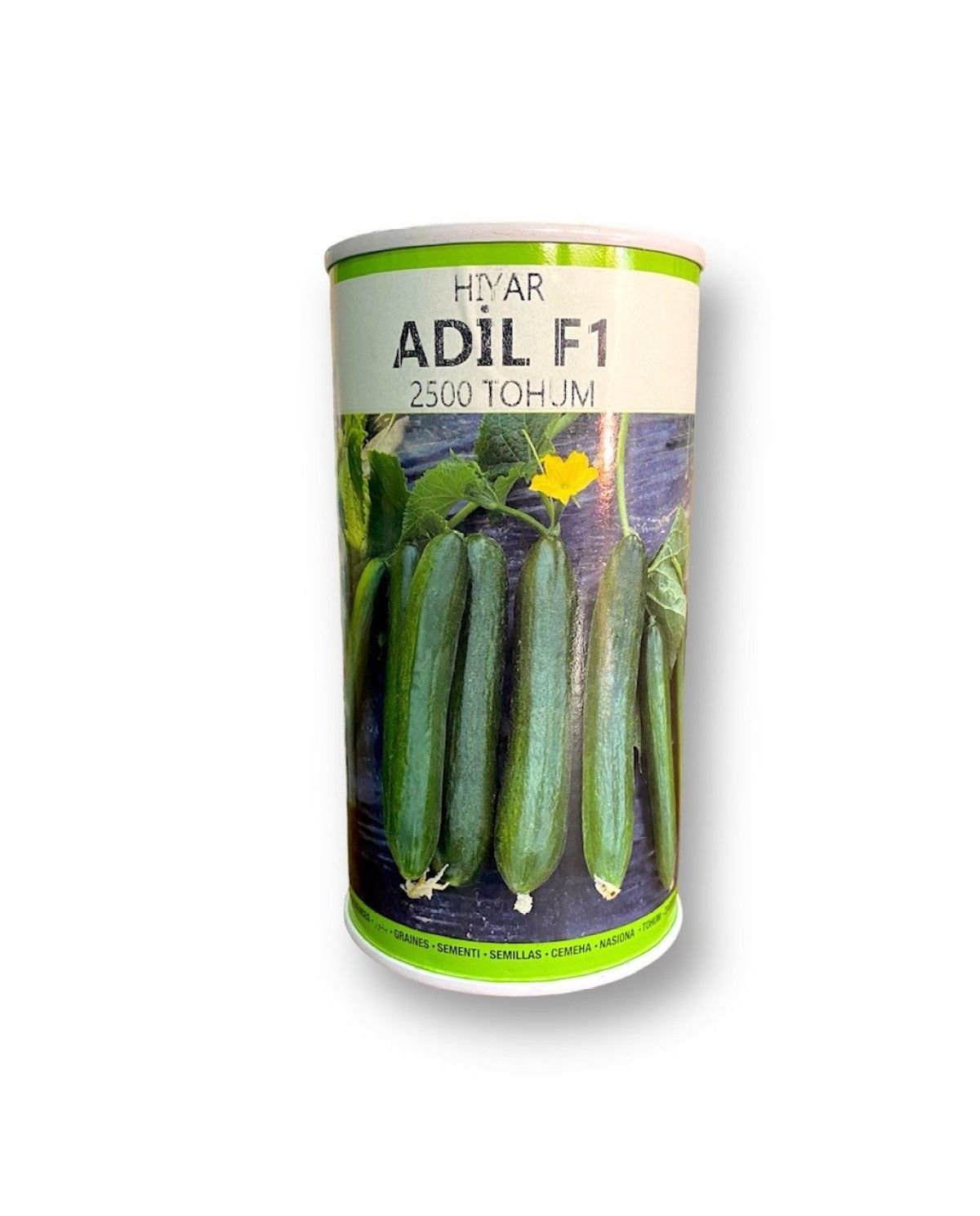 Argeto Adil F1 Hıyar Tohumu 2500 Adet