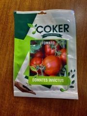 İNVİCTUS DOMATES TOHUMU 10 GR