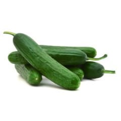 Çoker Beith Alpha Hıyar Tohumu 10 hr
