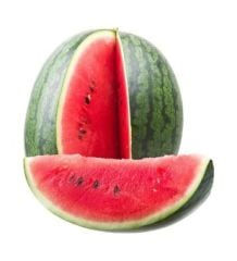 United Genetics AU-PRODUCER Karpuz tohumu 500 gr