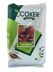 Çoker Turp tohumu Kırmızı  İri  1 kg