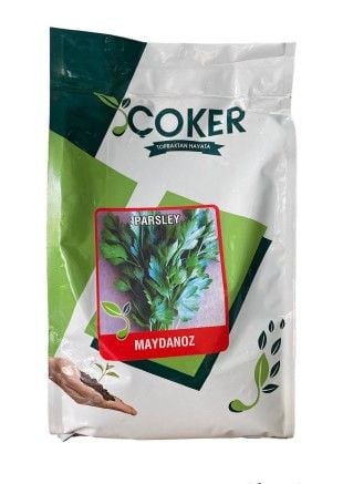 Çoker Maydanoz ( İri yapraklı)  Tohumu 1 kg
