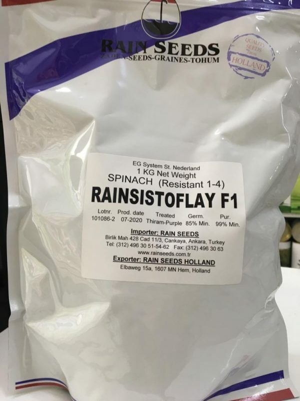 RAINSISTOFLAY F1 Hibrit Ispanak Tohumu 1 KG