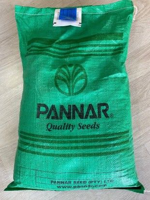 Pannar ROOIBERG Yaz otu (teff grass) tohumu 10 kg