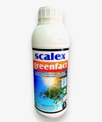 BİOSEN Scalex Greenfact 1 Lt  Güneş kesici Çatlama Önleyici