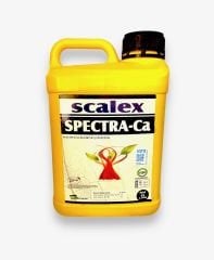 Scalex Spectra Ca ( Kalsiyum Klorür Çözeltisi)-20 lt