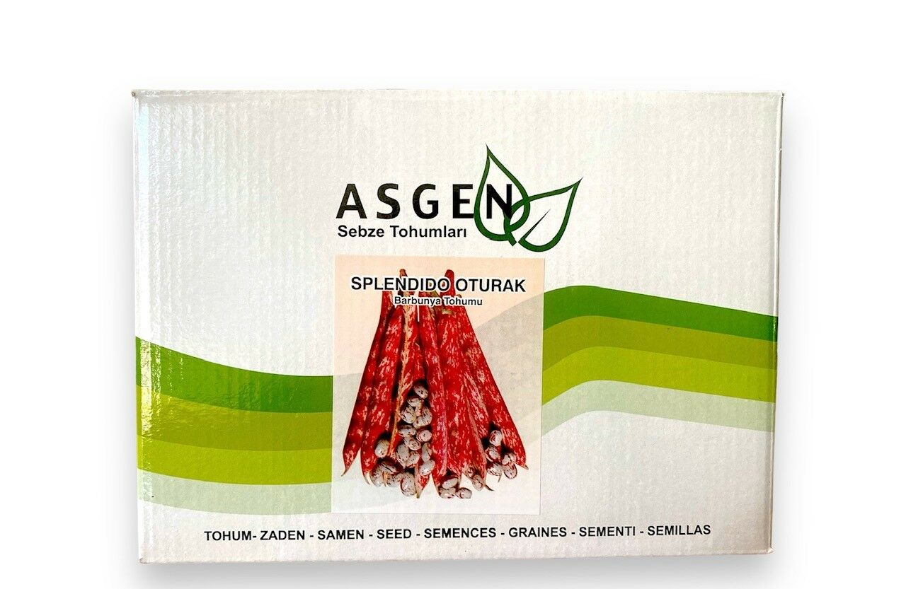 ASGEN SPLENDİDO OTURAK BARBUNYA TOHUMU 2 KG