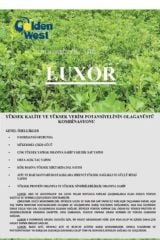 LUXOR YONCA TOHUMU 10 KG