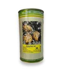 KIRKAĞAÇ 637 KAVUN TOHUMU 500 GR