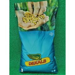 DEKALB DKC6044 50,000 ADET MISIR TOHUMU(2025)