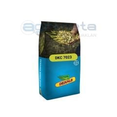 Dkc 7023 Dekalb Mısır Tohumu (2025)